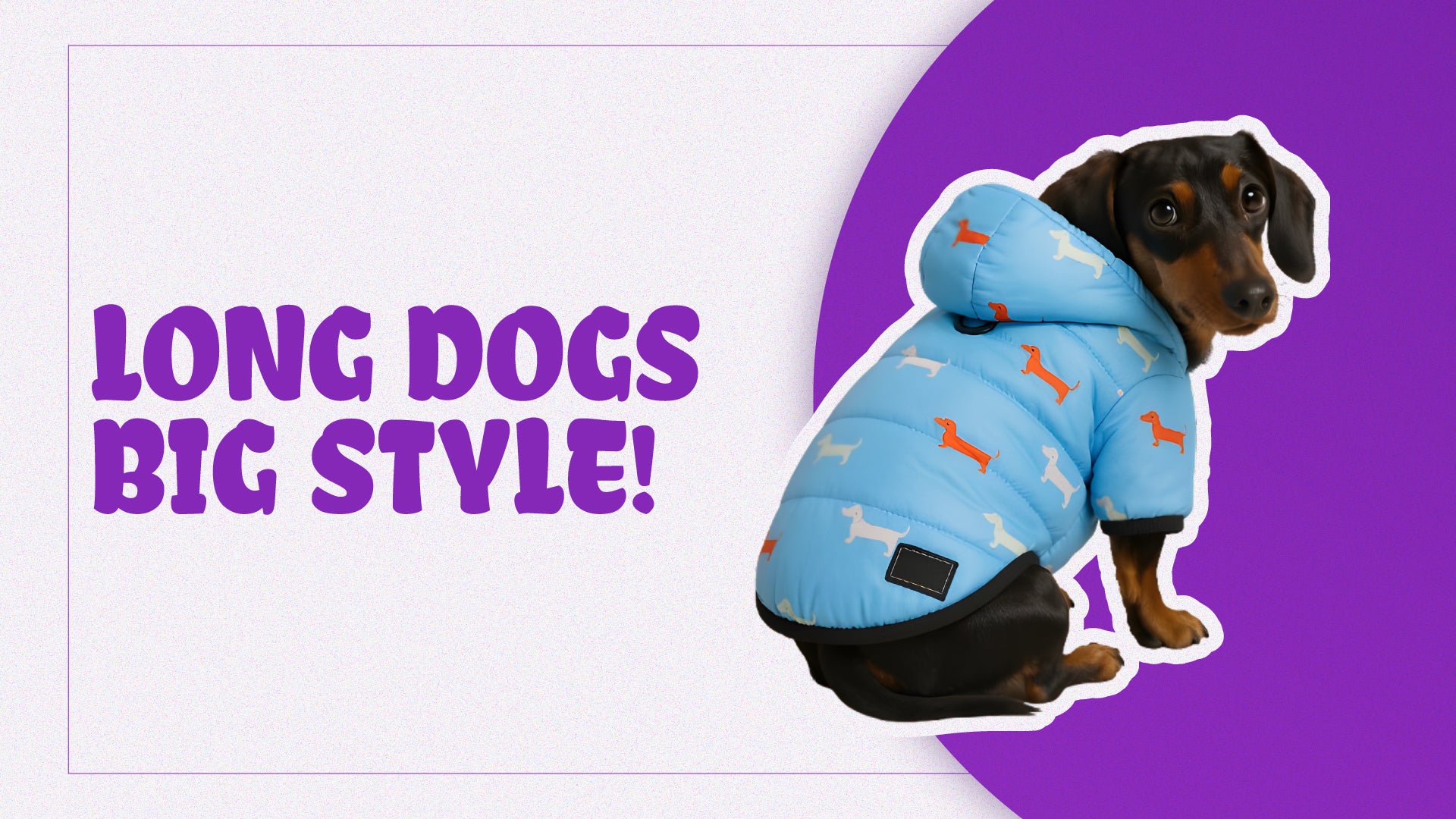 Style for Every Dachshund Lover