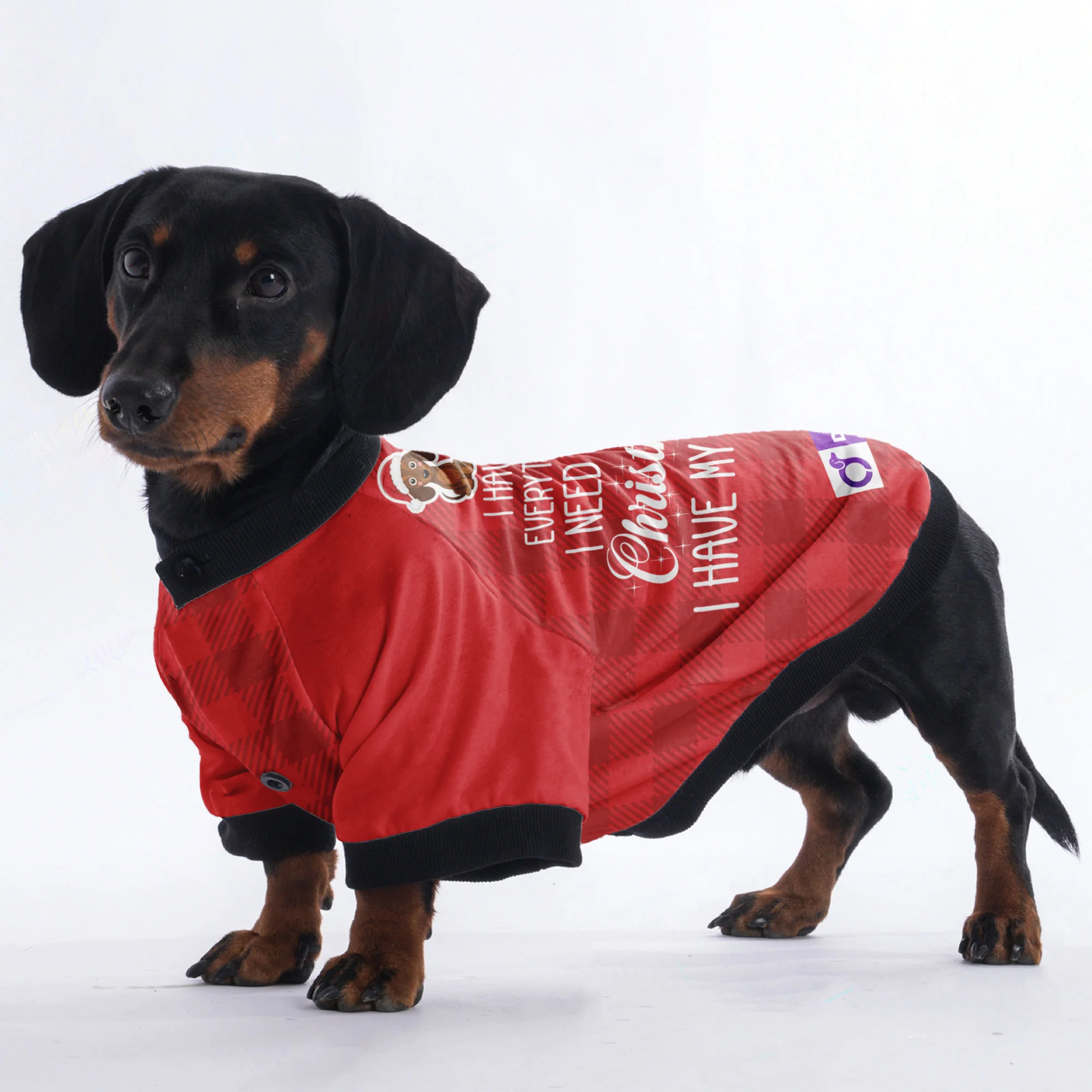 I have everything I need for Christmas. I have my human - Jacket for Dachshunds - Image 3