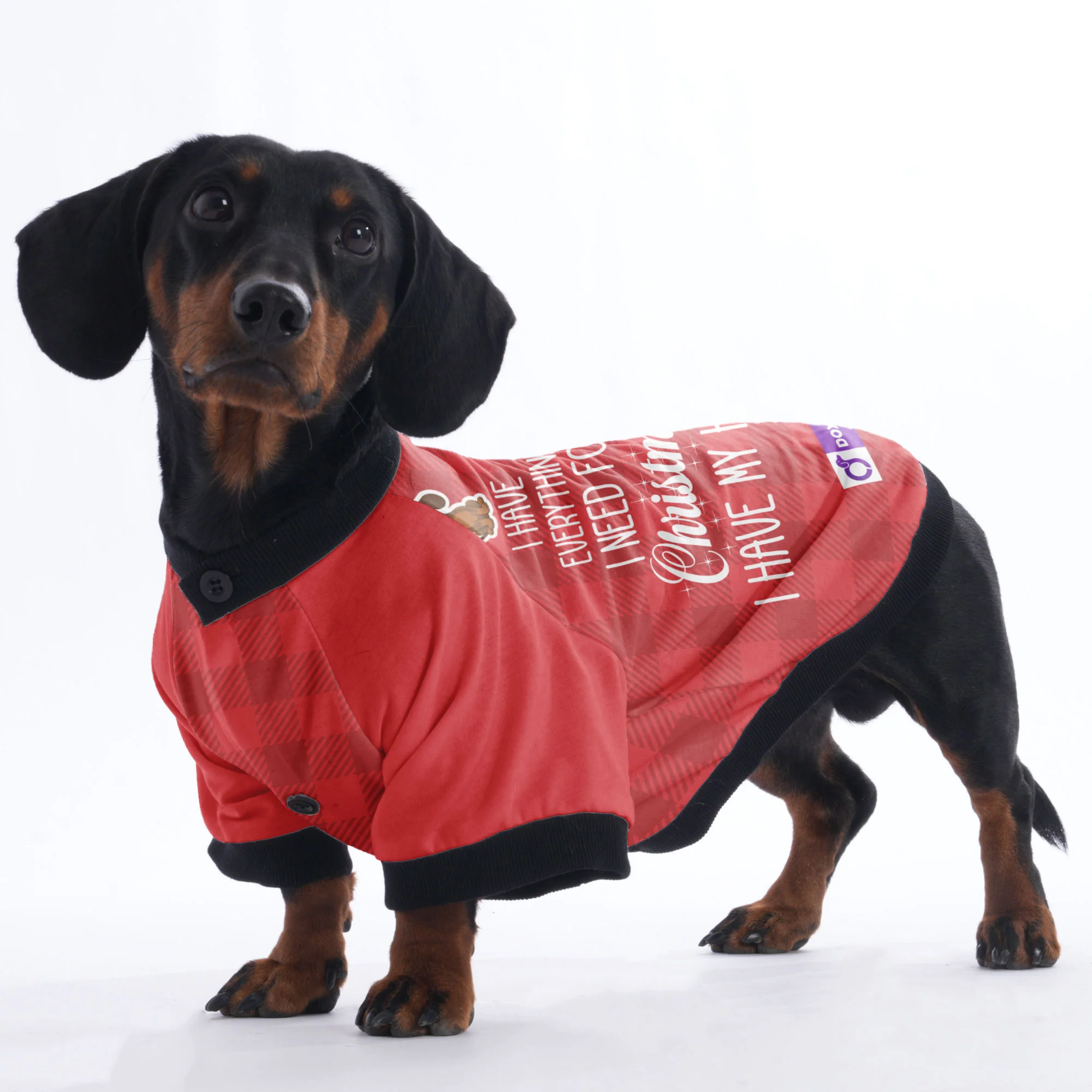 I have everything I need for Christmas. I have my human - Jacket for Dachshunds - Image 4