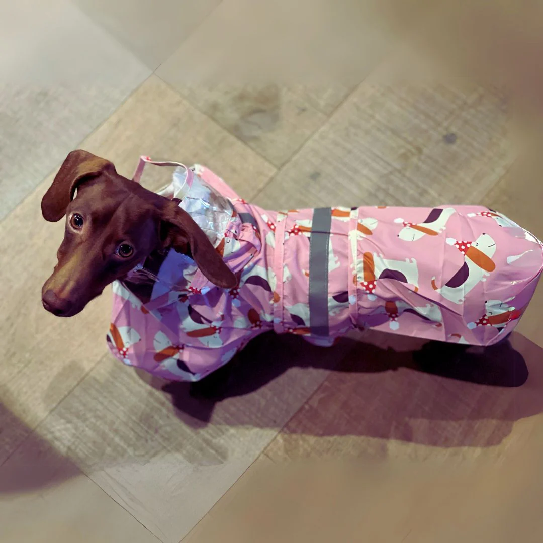 BarkSafe Dachshund Raincoat with Reflective Strips - Image 3