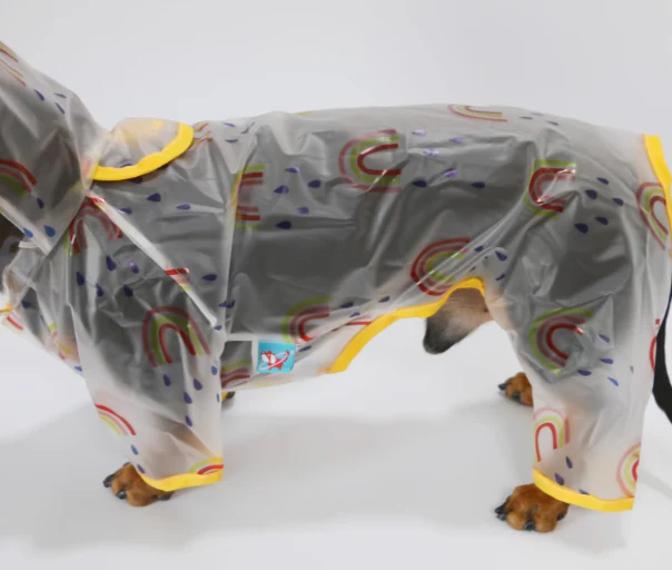 Dachshund Raincoat with Hat – Four-Legged Transparent Rain Jacket - Image 4