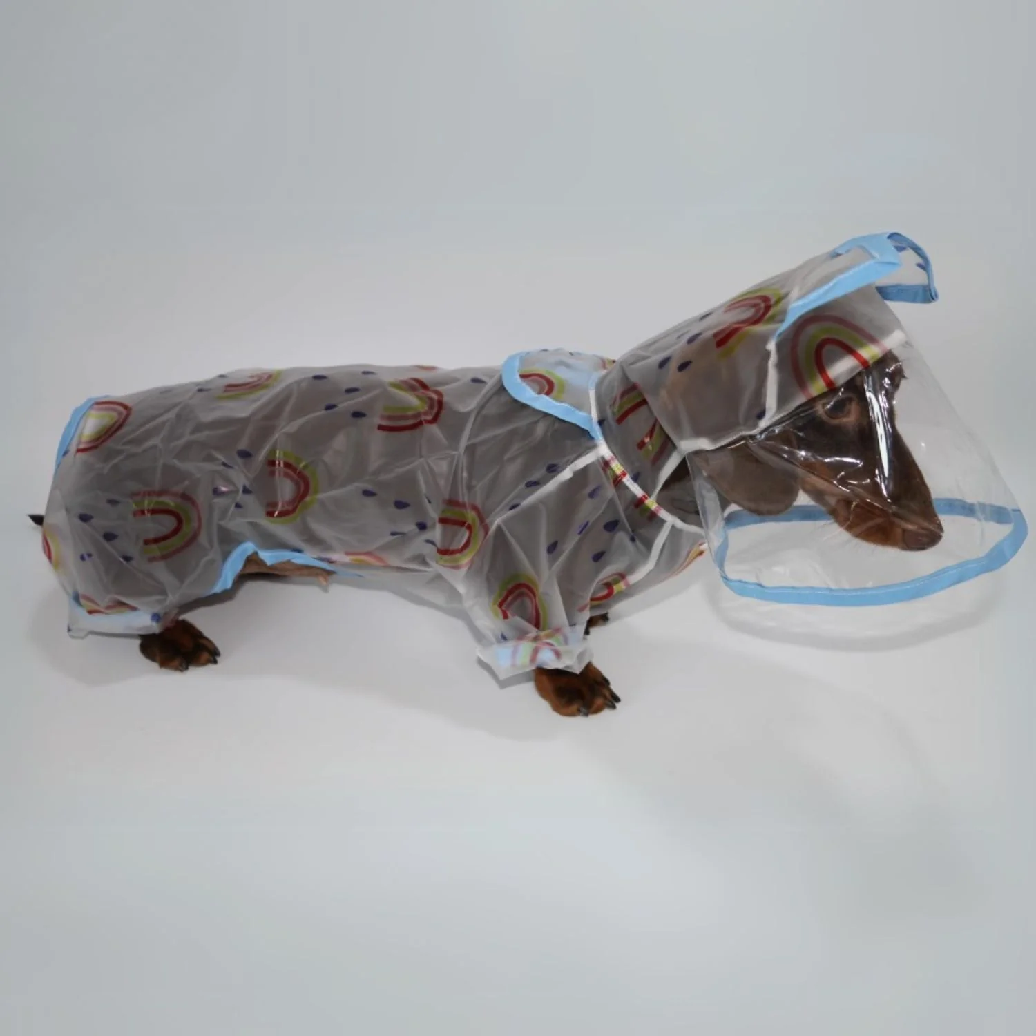 Dachshund Raincoat with Hat – Four-Legged Transparent Rain Jacket - Image 5