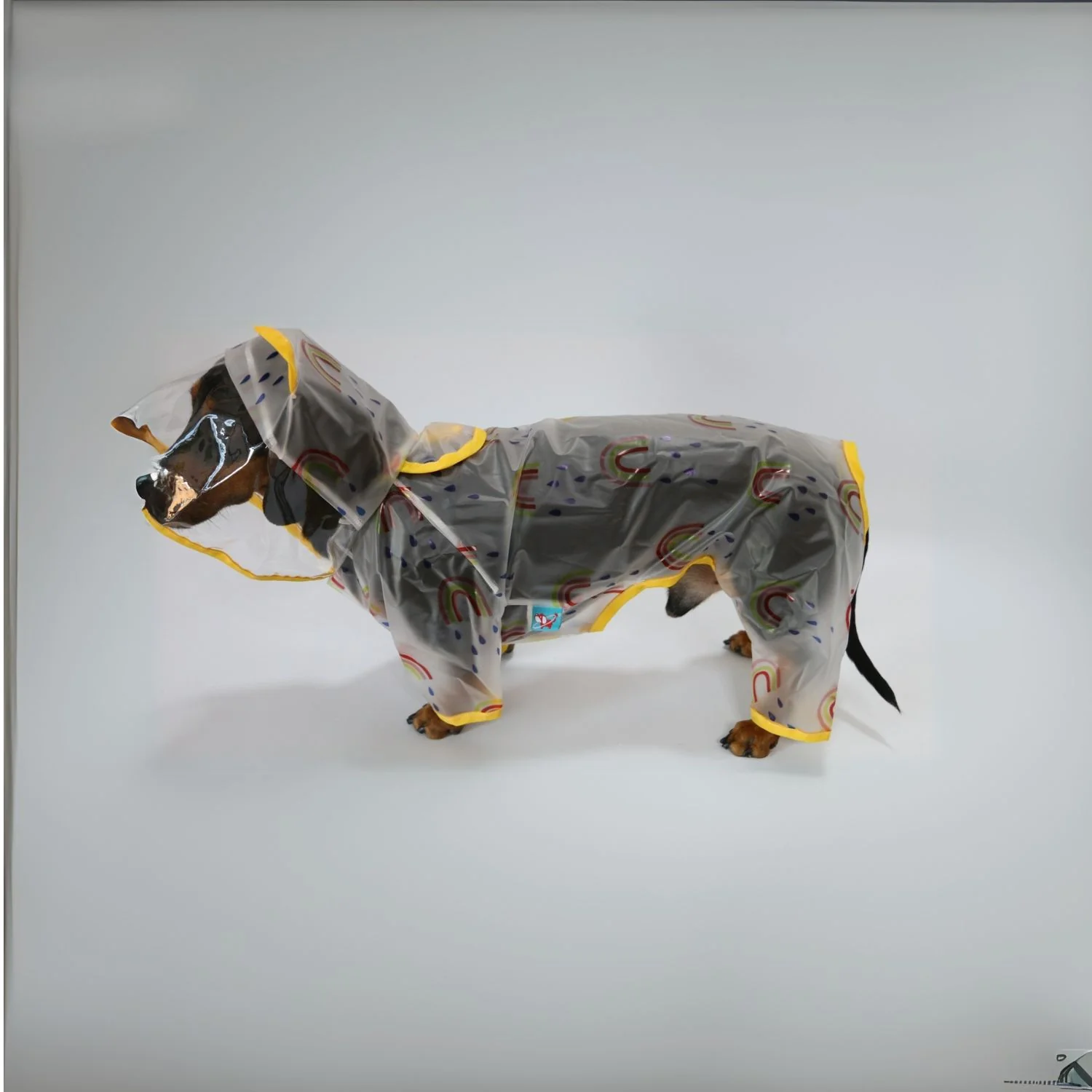 Dachshund Raincoat with Hat – Four-Legged Transparent Rain Jacket - Image 6