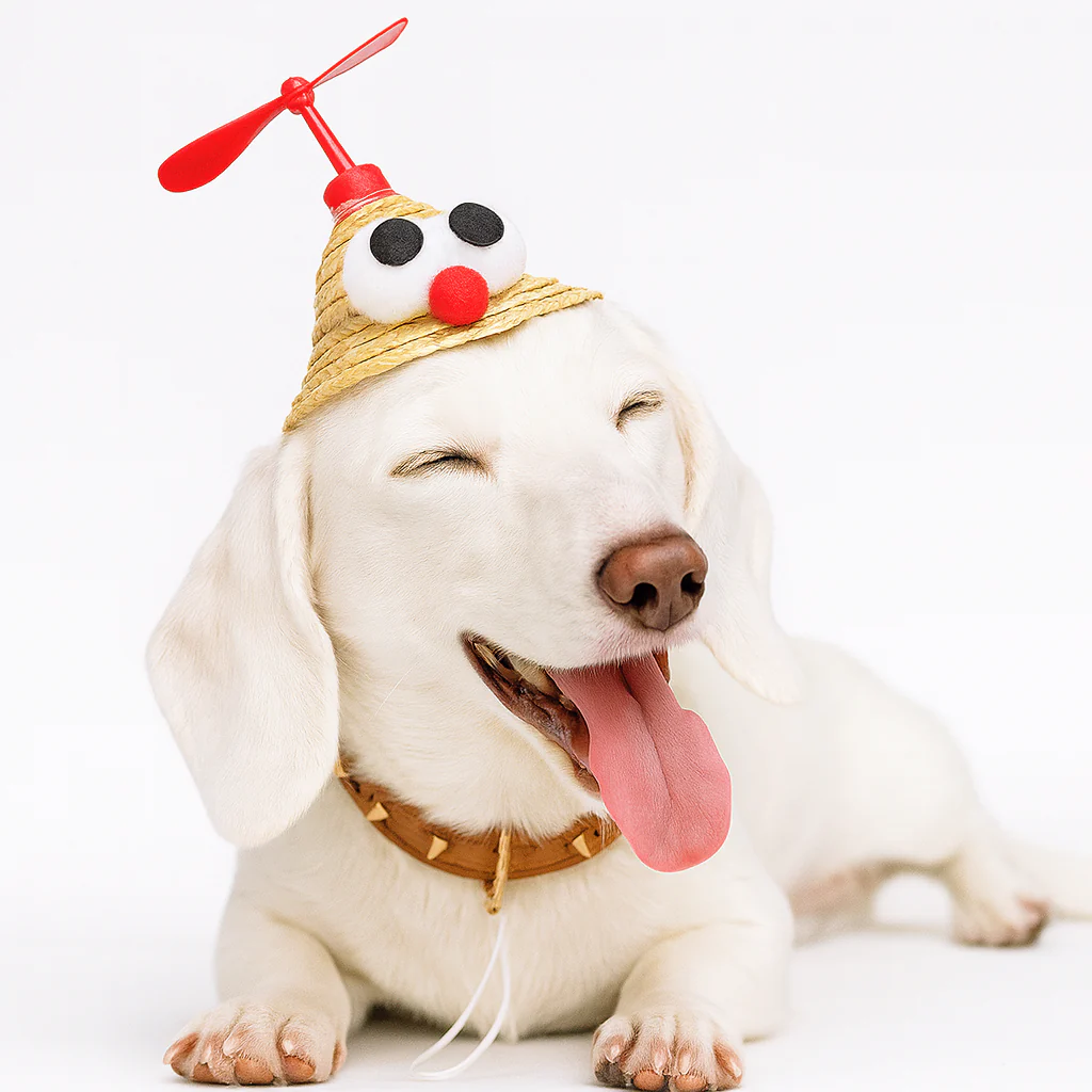 TwirlCap Dachshund Straw Hat – Funny Propeller Summer Dog Hat - Image 6