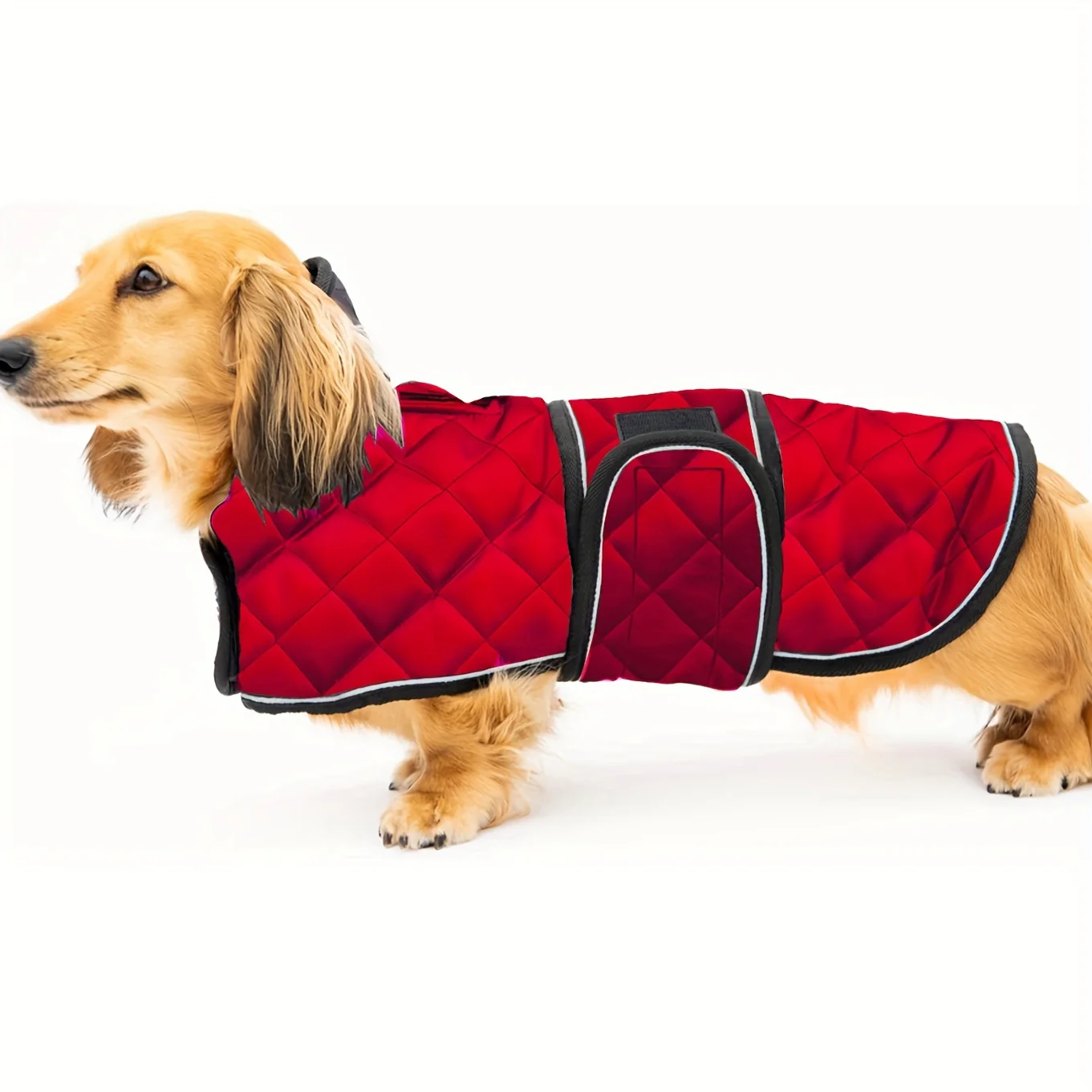 ReflectiveDox Dachshund Warm Jacket with Fleece Lined Reflective Strips - Image 4