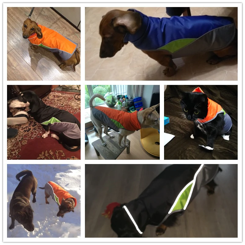 Dachshund Waterproof Coat Jacket With Reflective Trim for Night Safety - Image 14
