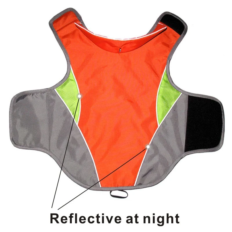 Dachshund Waterproof Coat Jacket With Reflective Trim for Night Safety - Image 17