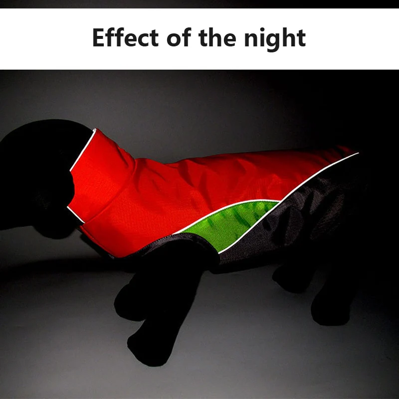 Dachshund Waterproof Coat Jacket With Reflective Trim for Night Safety - Image 18