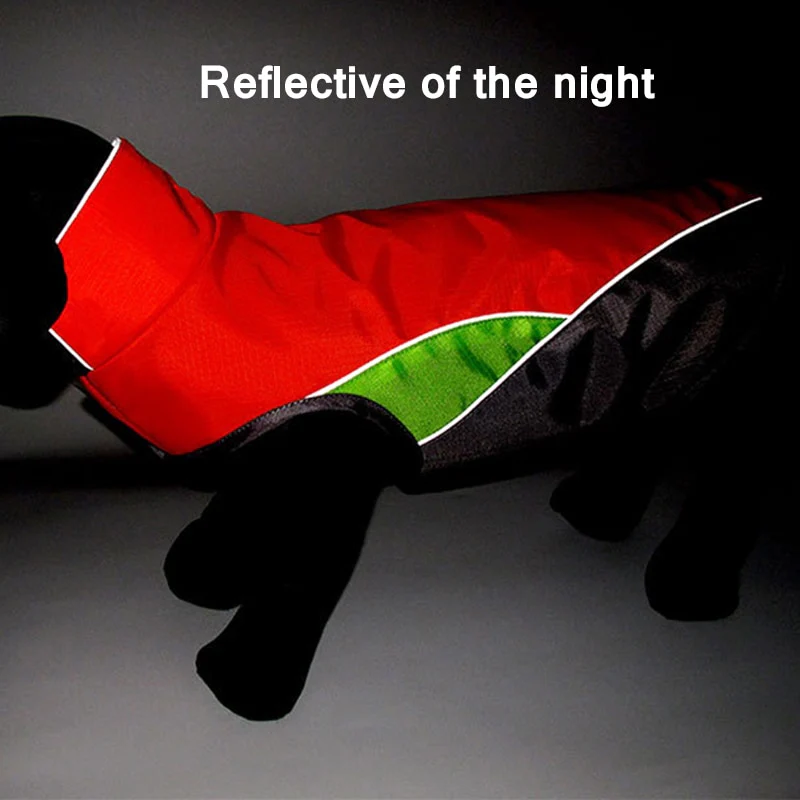 Dachshund Waterproof Coat Jacket With Reflective Trim for Night Safety - Image 22