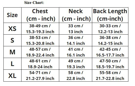 CozyDox Premium Dachshund Winter Coat with Padded Fleece - Adjustable Straps - Image 6