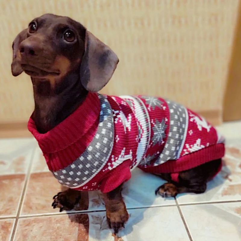 Dachshund Winter Sweater Christmas Costume - Image 4