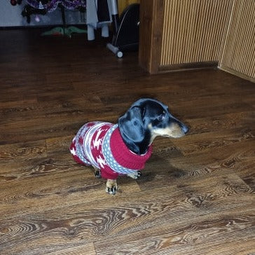 Dachshund Winter Sweater Christmas Costume - Image 5