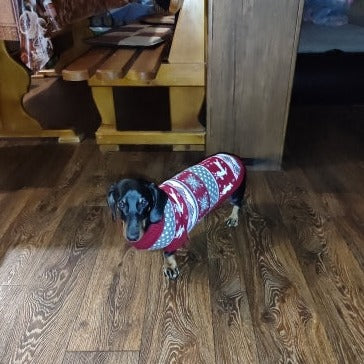 Dachshund Winter Sweater Christmas Costume - Image 6