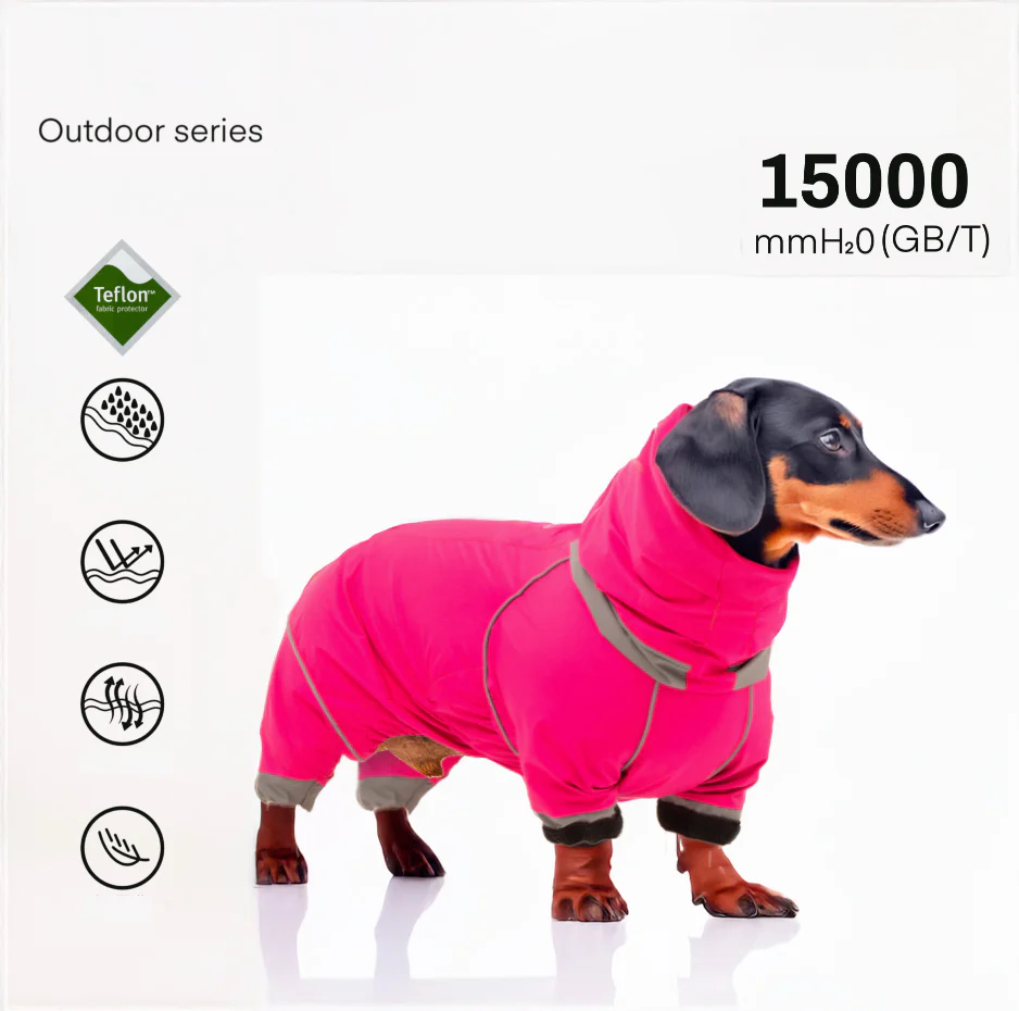 DachTrend Breathable Dachshund Raincoat - Image 3