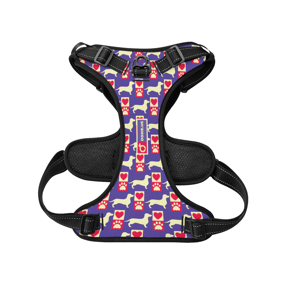 Bella -  No-Pull Dachshund Dog Harness - Image 5