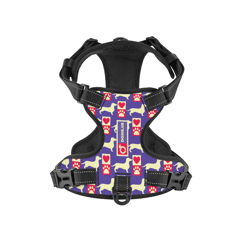 Bella -  No-Pull Dachshund Dog Harness - Image 6