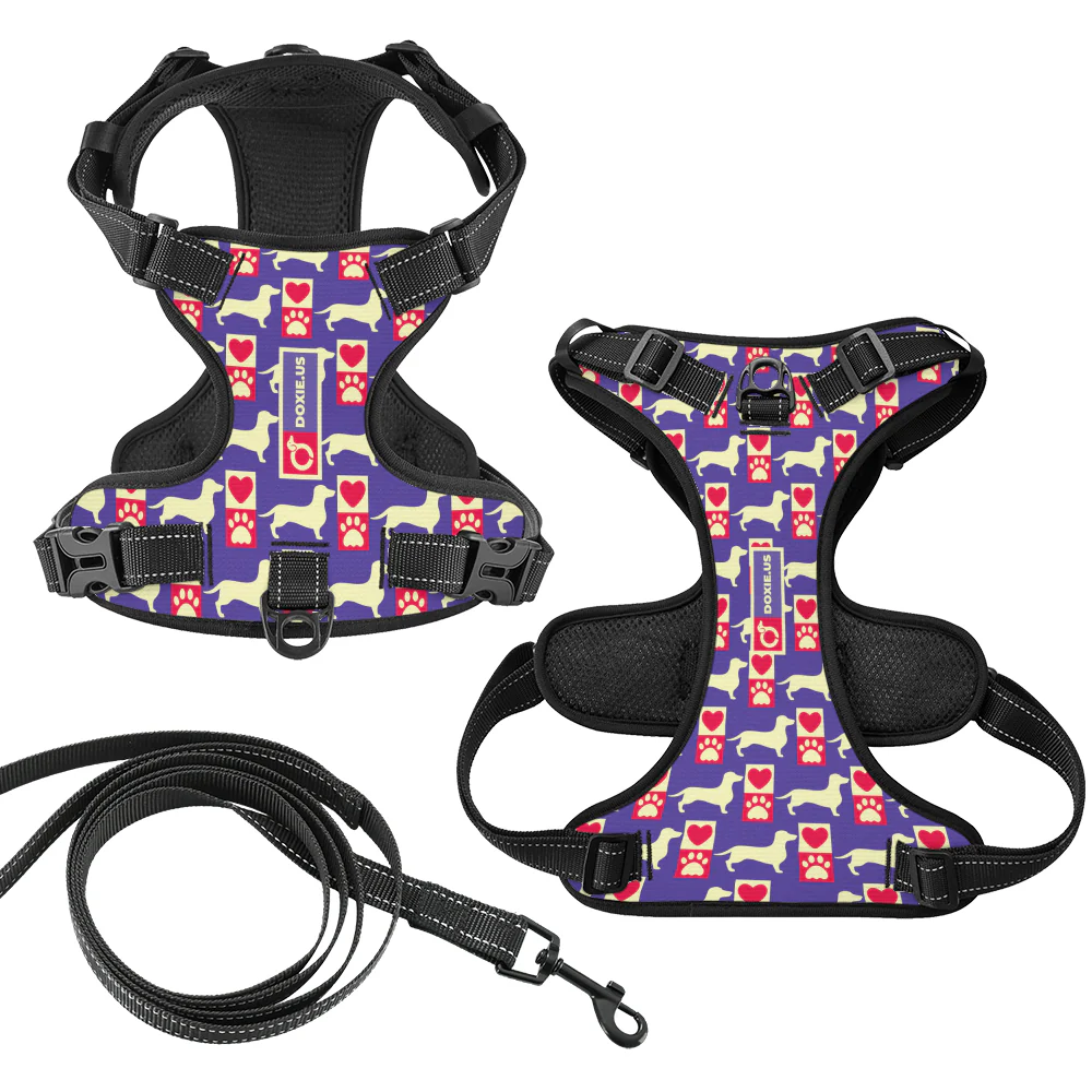Bella -  No-Pull Dachshund Dog Harness - Image 7