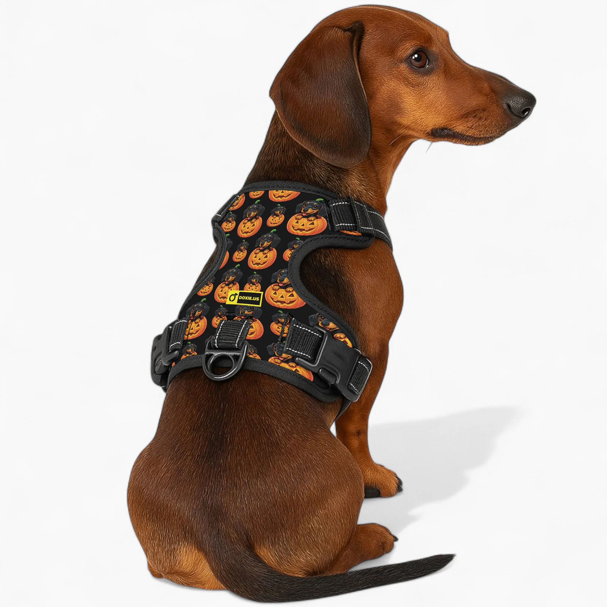 Sadie -  No-Pull Dachshund Dog Harness - Image 3