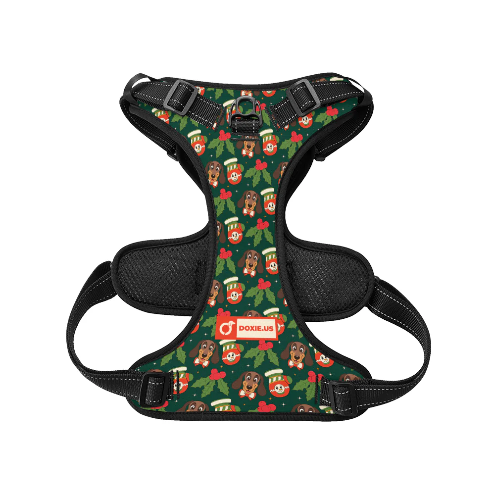 Bailey -  No-Pull Dachshund Dog Harness - Image 6
