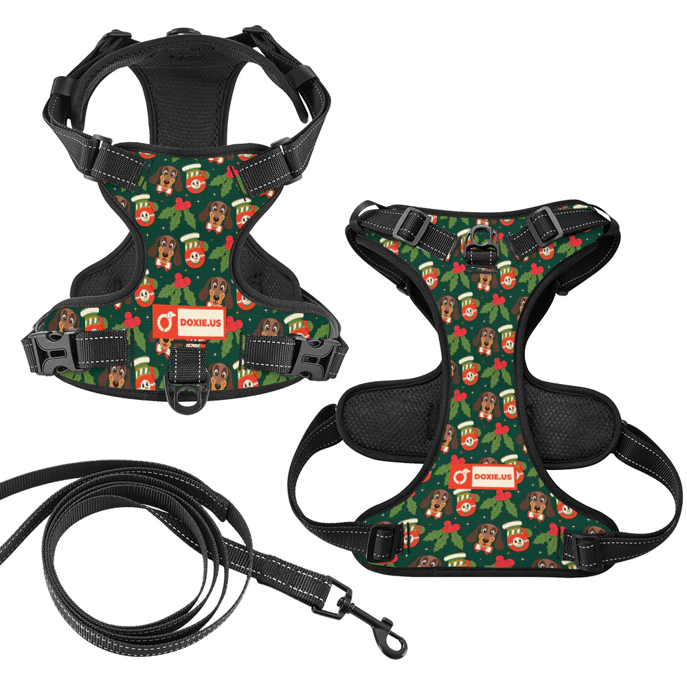 Bailey -  No-Pull Dachshund Dog Harness - Image 7