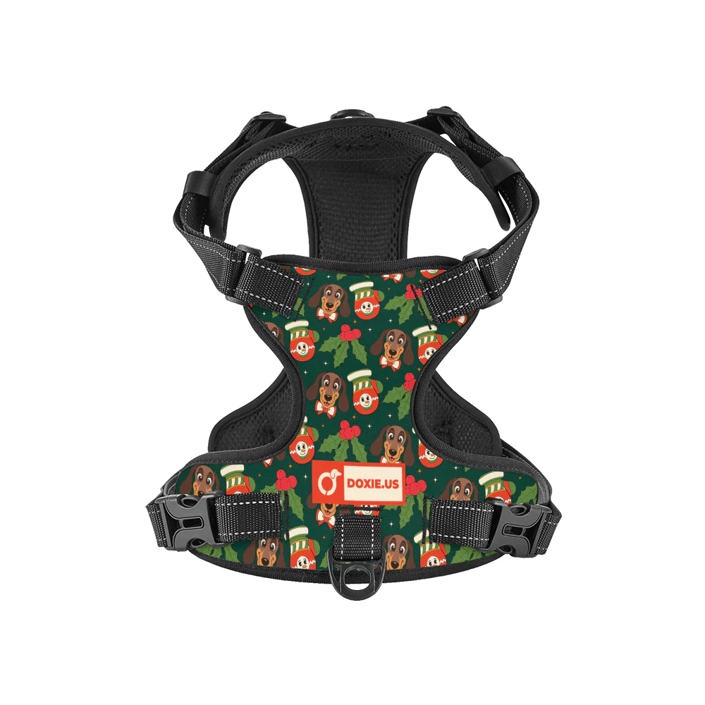 Bailey -  No-Pull Dachshund Dog Harness - Image 8