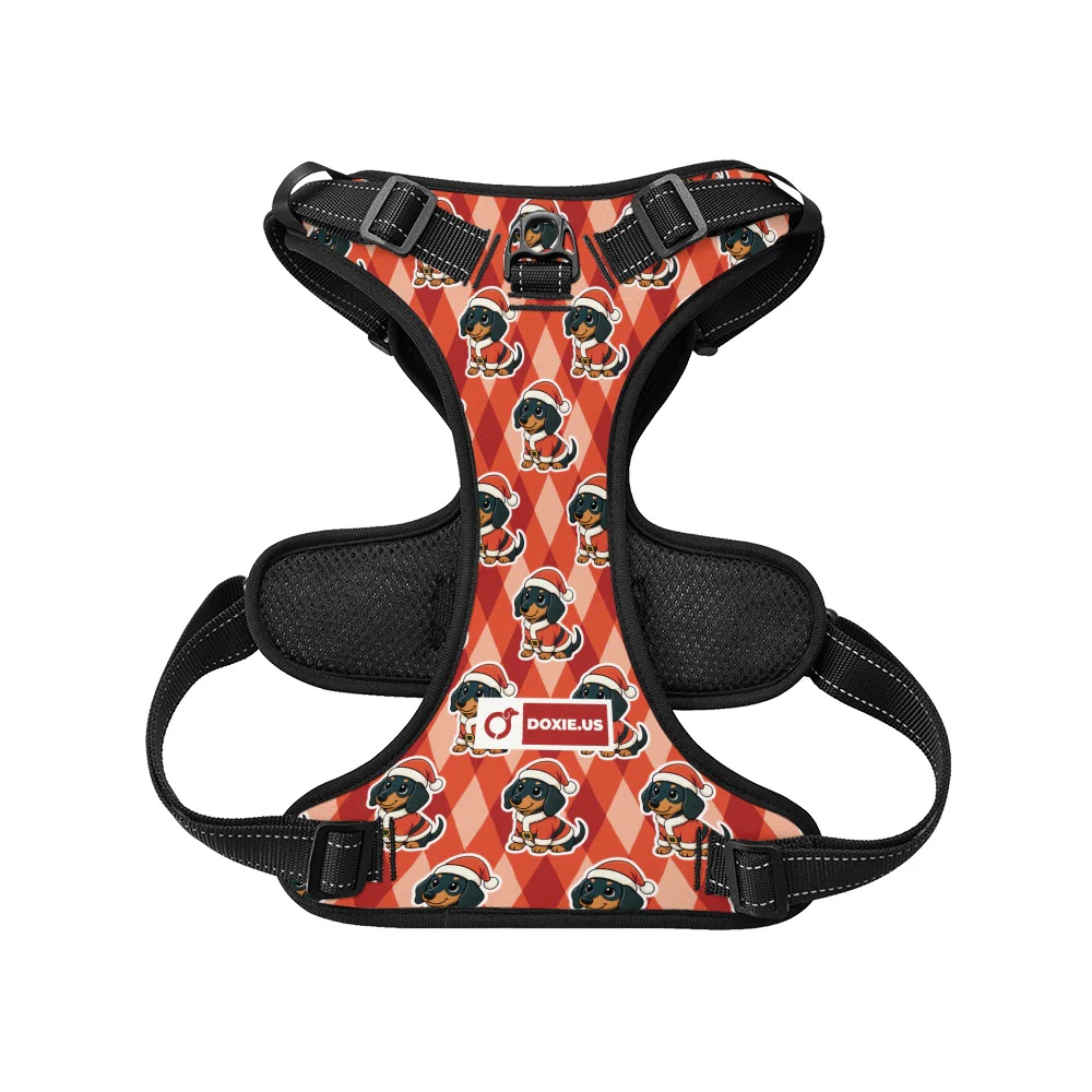 Jack -  No-Pull Dachshund Dog Harness - Image 6