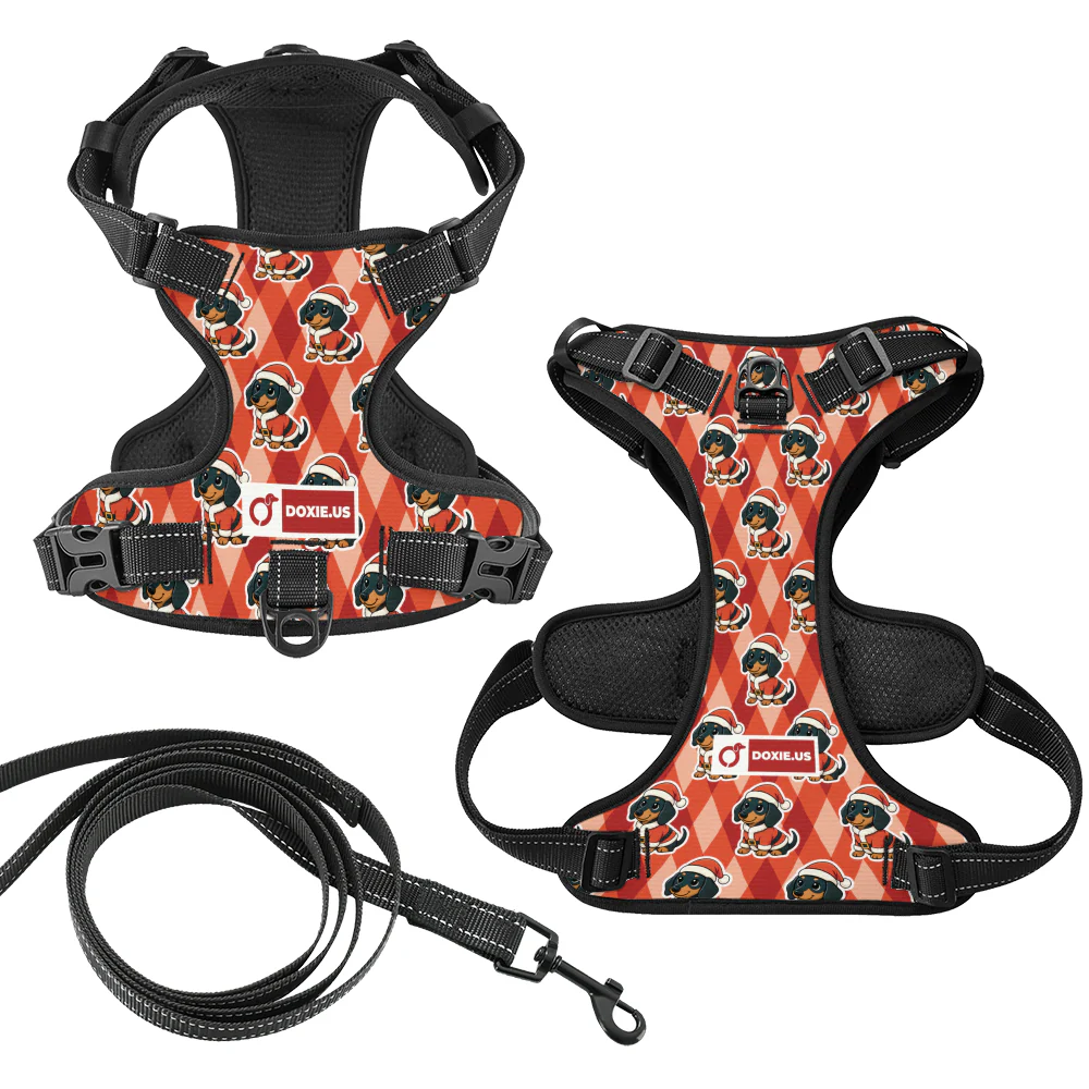 Jack -  No-Pull Dachshund Dog Harness - Image 7