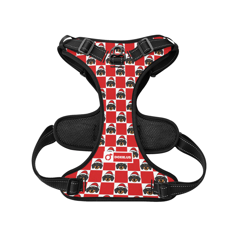 Nugget -  No-Pull Dachshund Dog Harness - Image 6