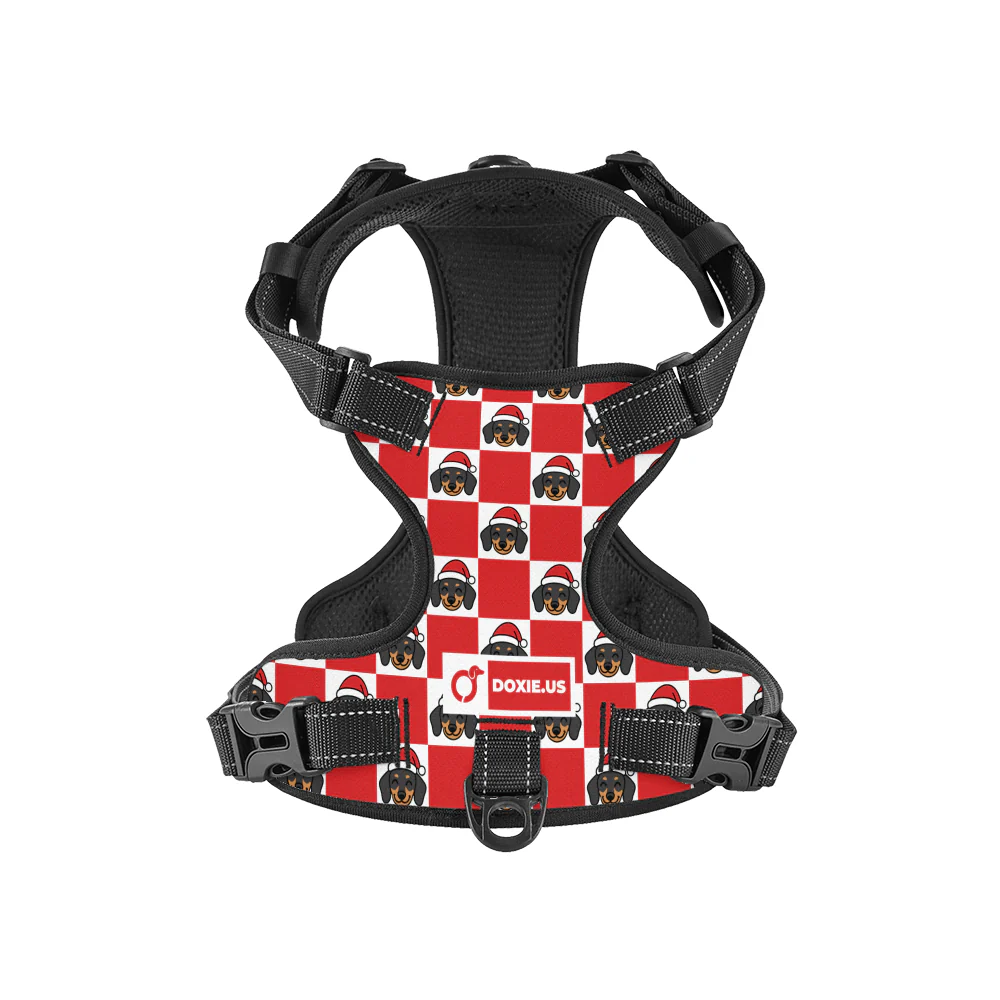 Nugget -  No-Pull Dachshund Dog Harness - Image 8