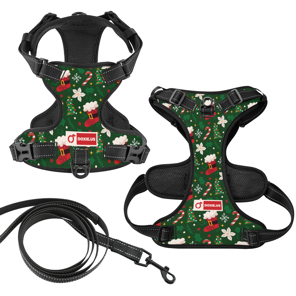 Birdie -  No-Pull Dachshund Dog Harness - Image 6