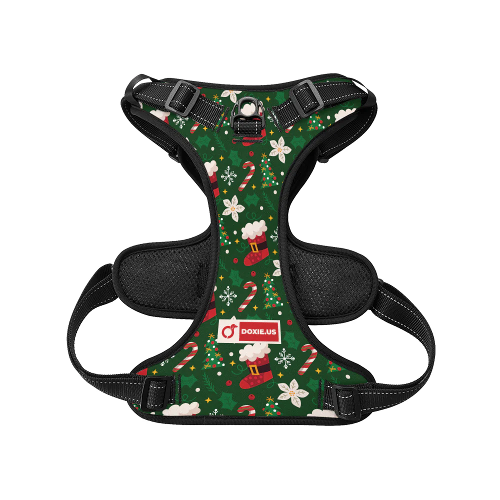Birdie -  No-Pull Dachshund Dog Harness - Image 7
