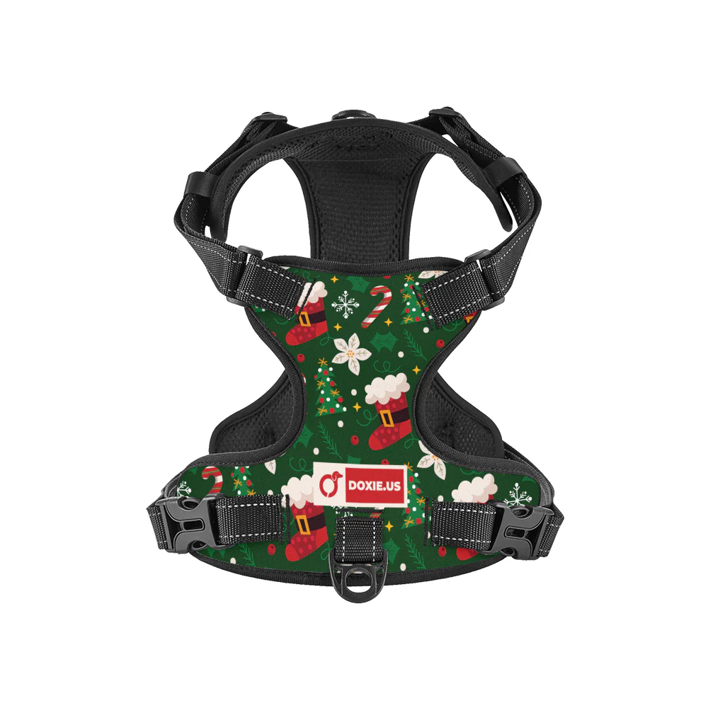 Birdie -  No-Pull Dachshund Dog Harness - Image 8