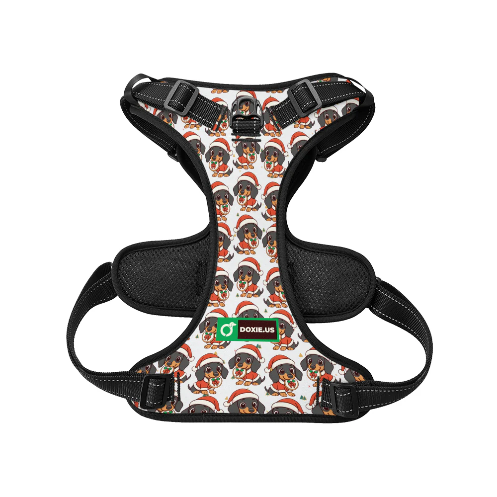 Kevin -  No-Pull Dachshund Dog Harness - Image 6