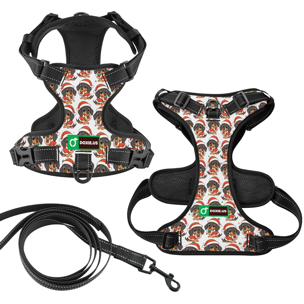 Kevin -  No-Pull Dachshund Dog Harness - Image 7