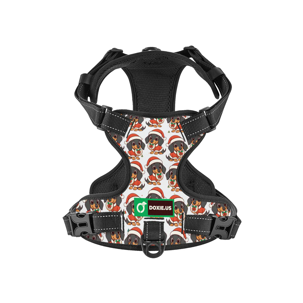 Kevin -  No-Pull Dachshund Dog Harness - Image 8