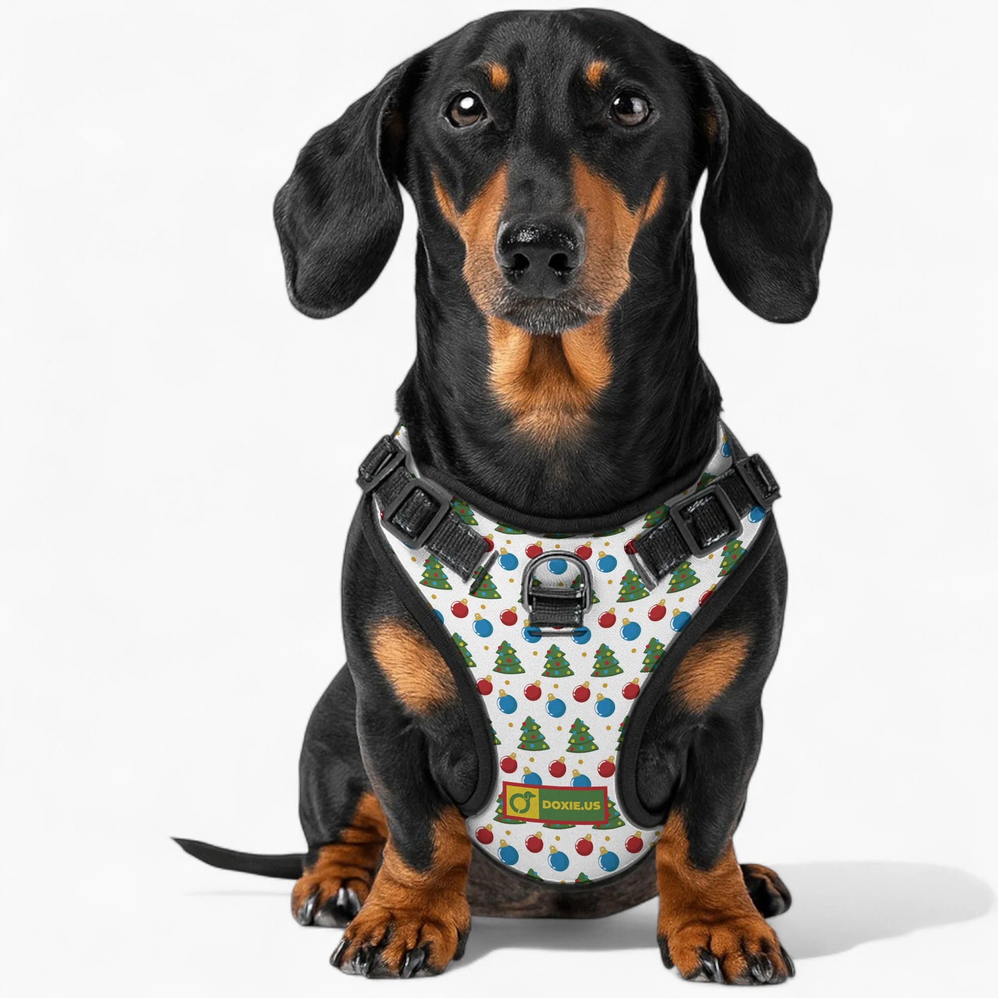 Martha -  No-Pull Dachshund Dog Harness - Image 3