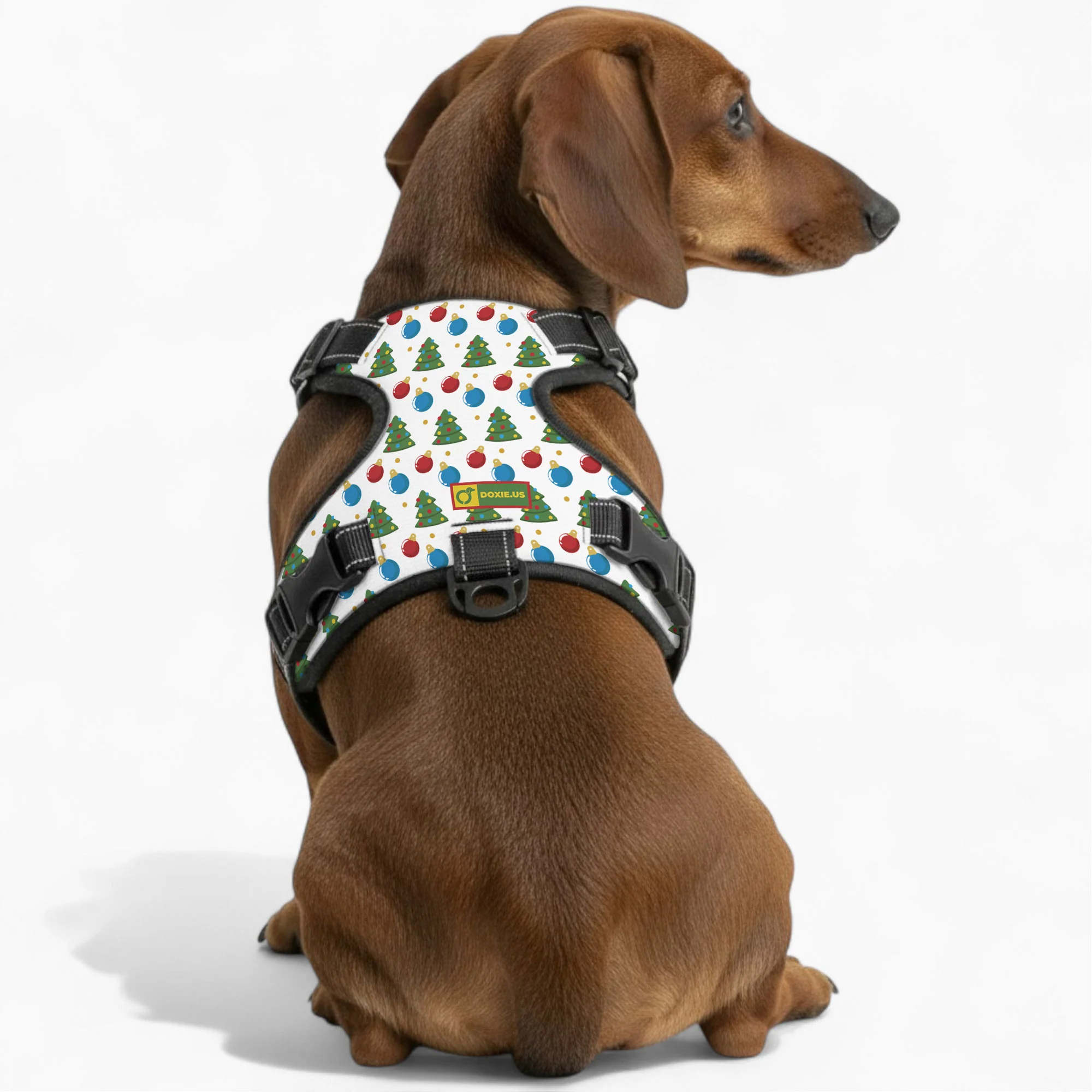Martha -  No-Pull Dachshund Dog Harness - Image 4