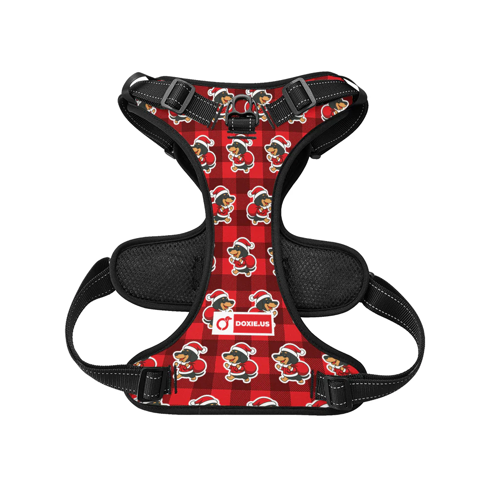 Tom -  No-Pull Dachshund Dog Harness - Image 4