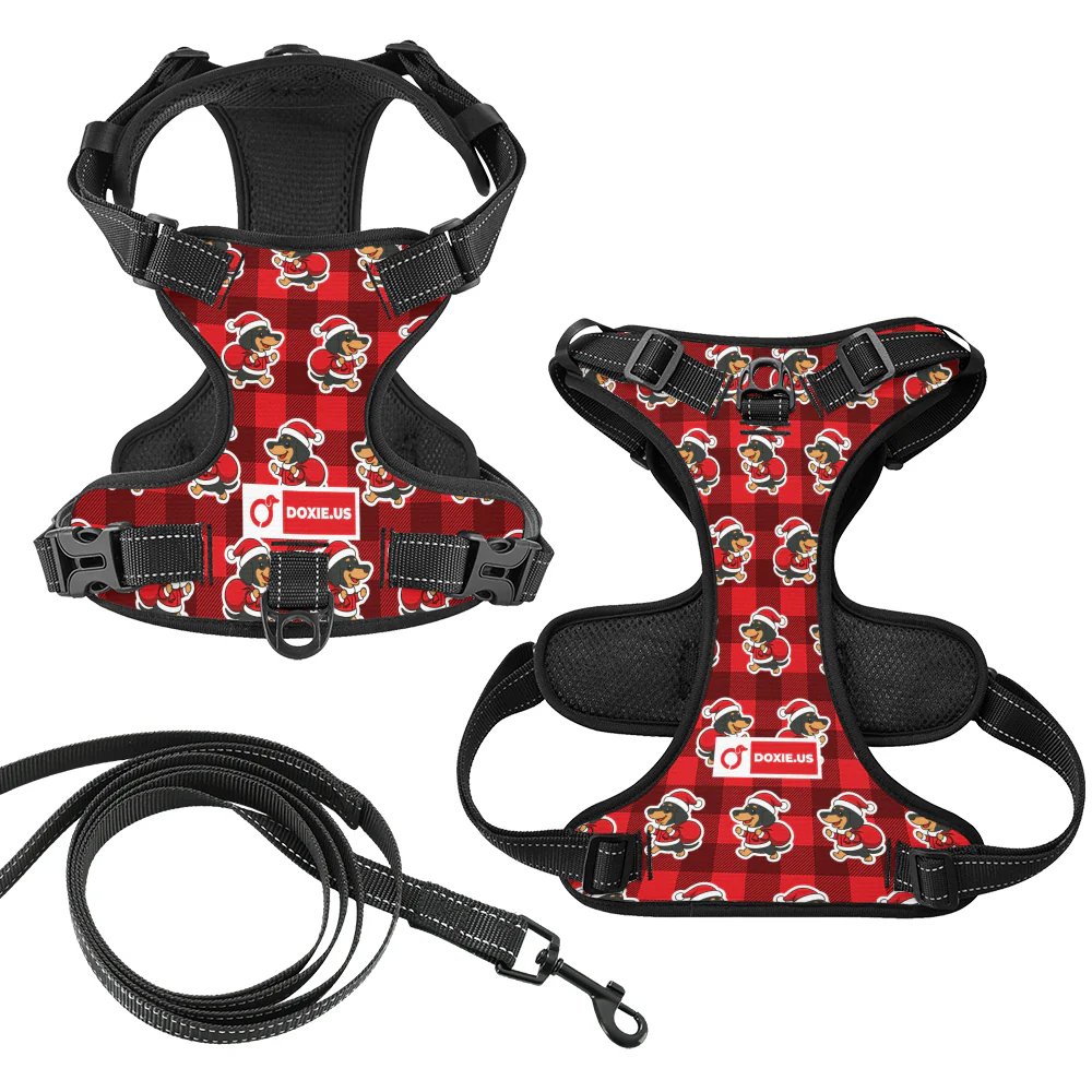 Tom -  No-Pull Dachshund Dog Harness - Image 5