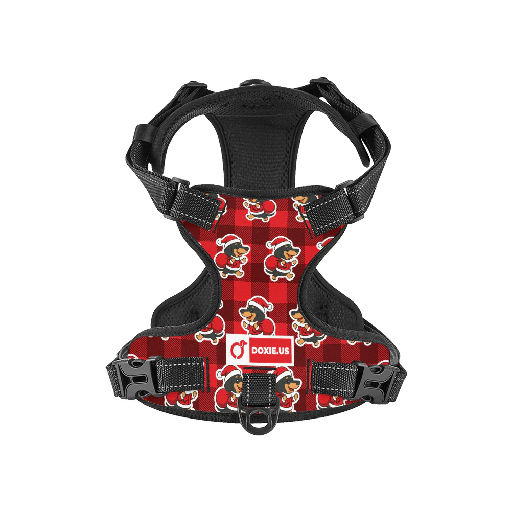 Tom -  No-Pull Dachshund Dog Harness - Image 6