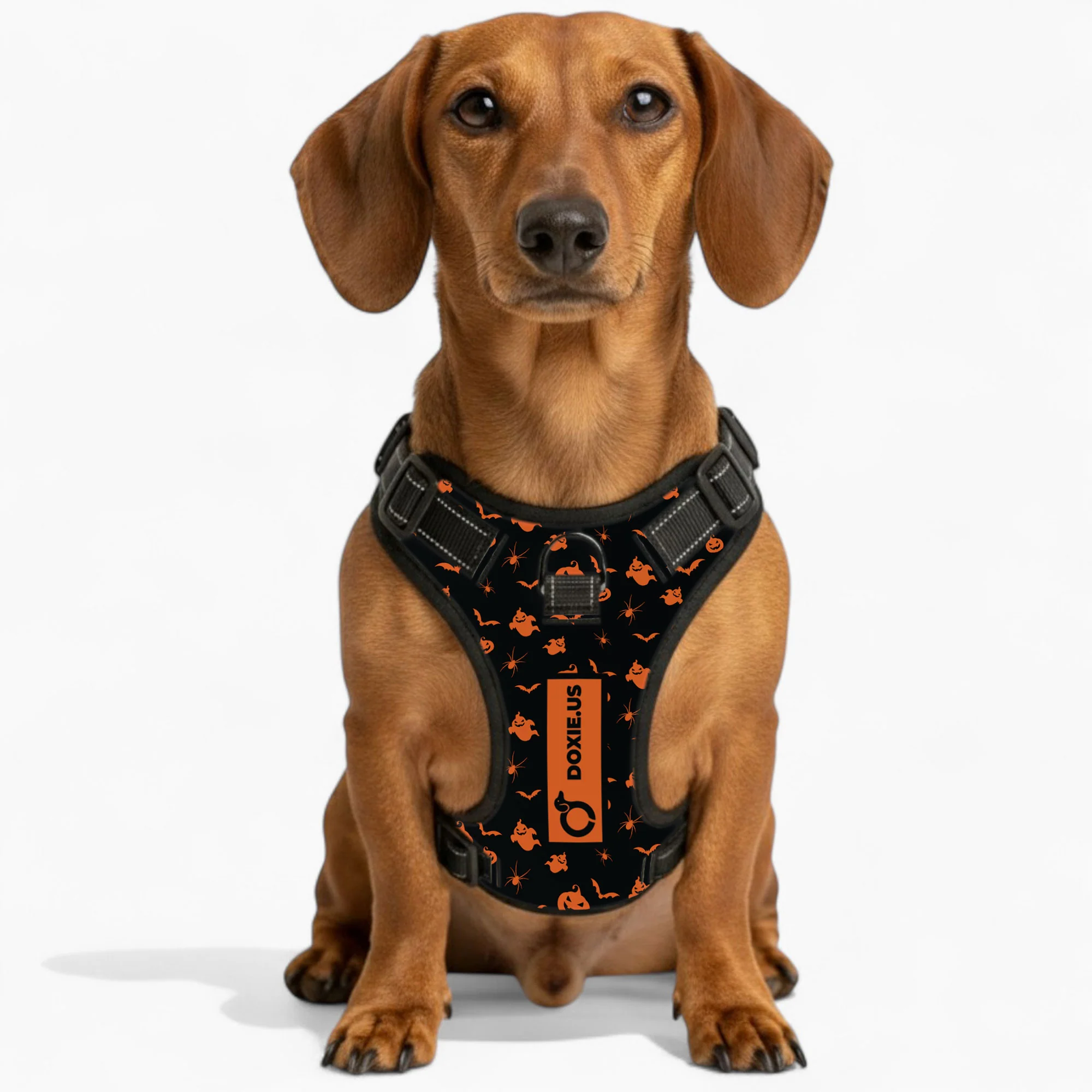 Maggie -  No-Pull Dachshund Dog Harness - Image 3