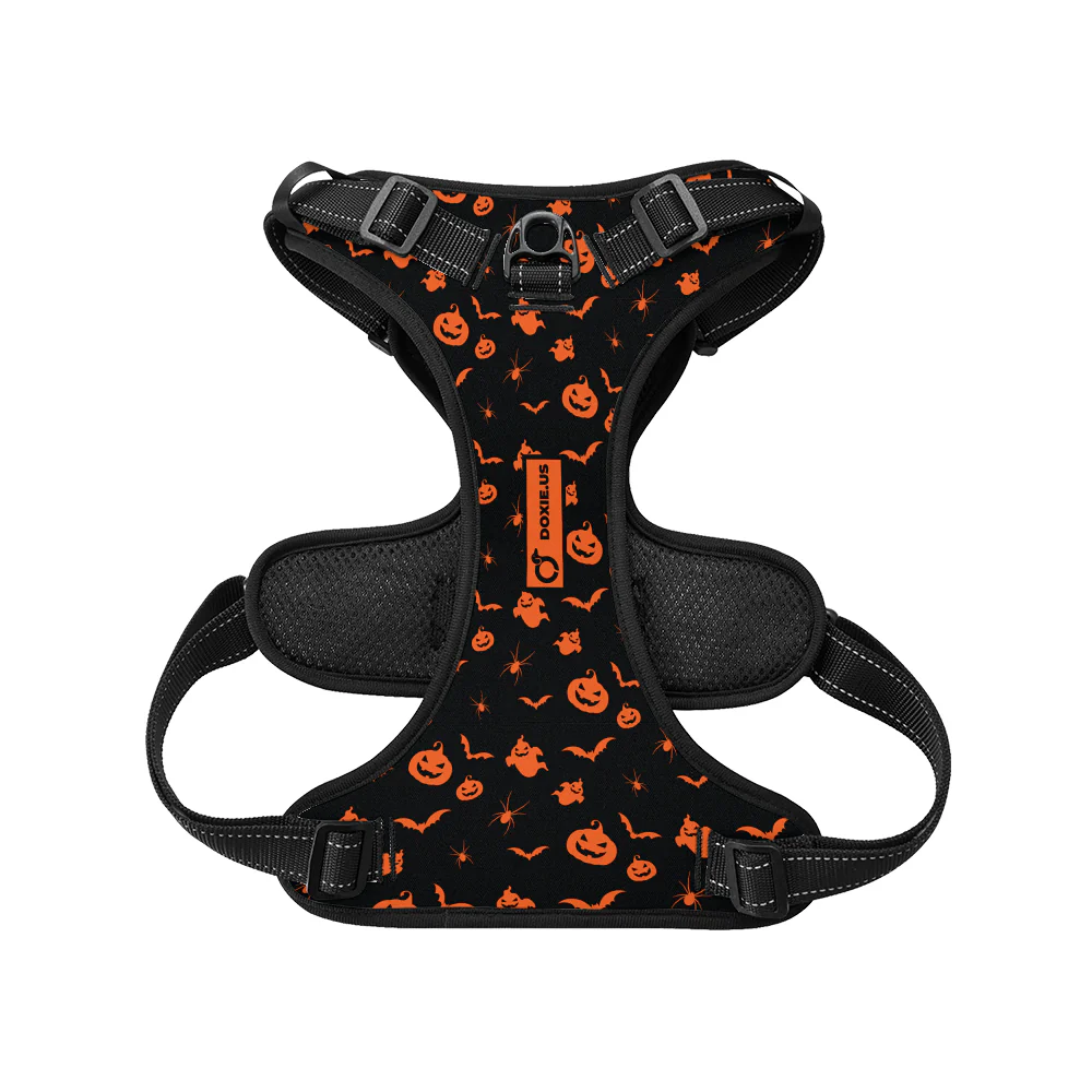 Maggie -  No-Pull Dachshund Dog Harness - Image 5