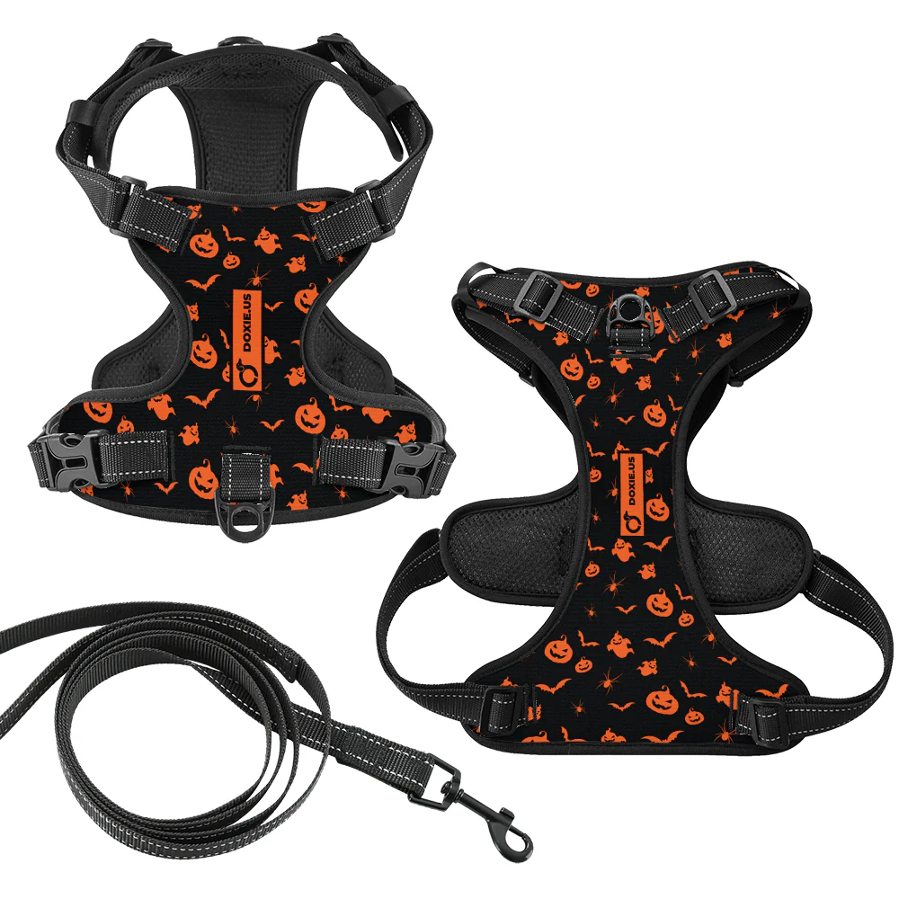 Maggie -  No-Pull Dachshund Dog Harness - Image 6