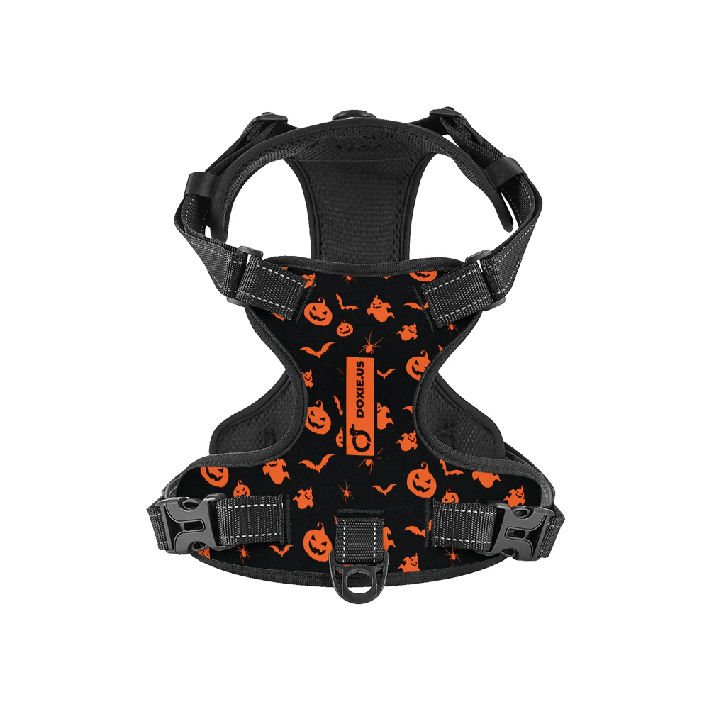 Maggie -  No-Pull Dachshund Dog Harness - Image 7