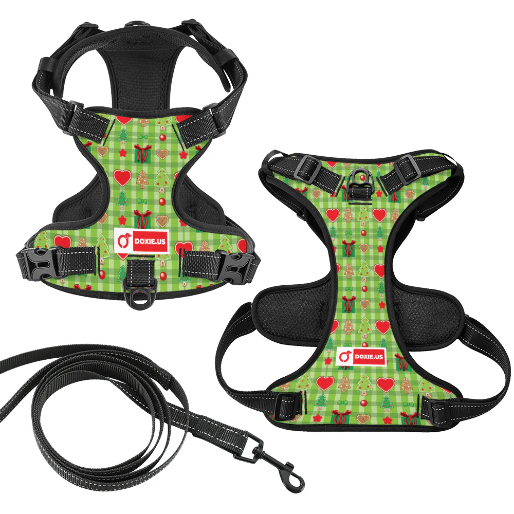 Alex -  No-Pull Dachshund Dog Harness - Image 5