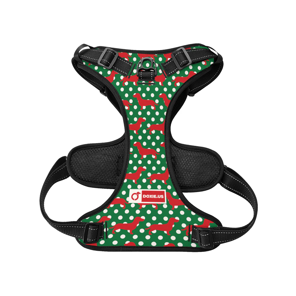 Carly -  No-Pull Dachshund Dog Harness - Image 4