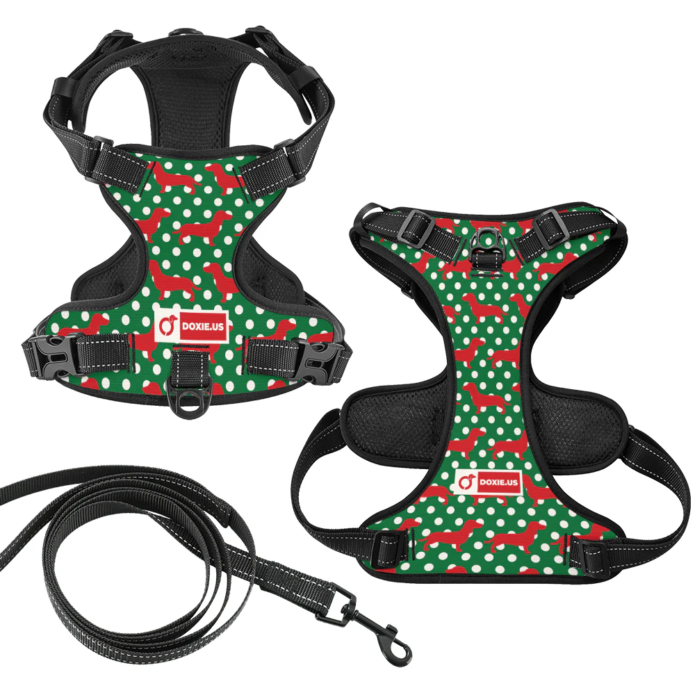 Carly -  No-Pull Dachshund Dog Harness - Image 5