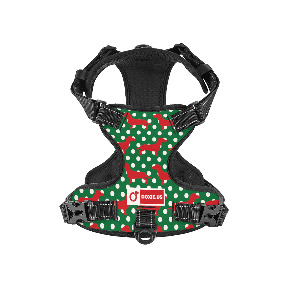Carly -  No-Pull Dachshund Dog Harness - Image 6