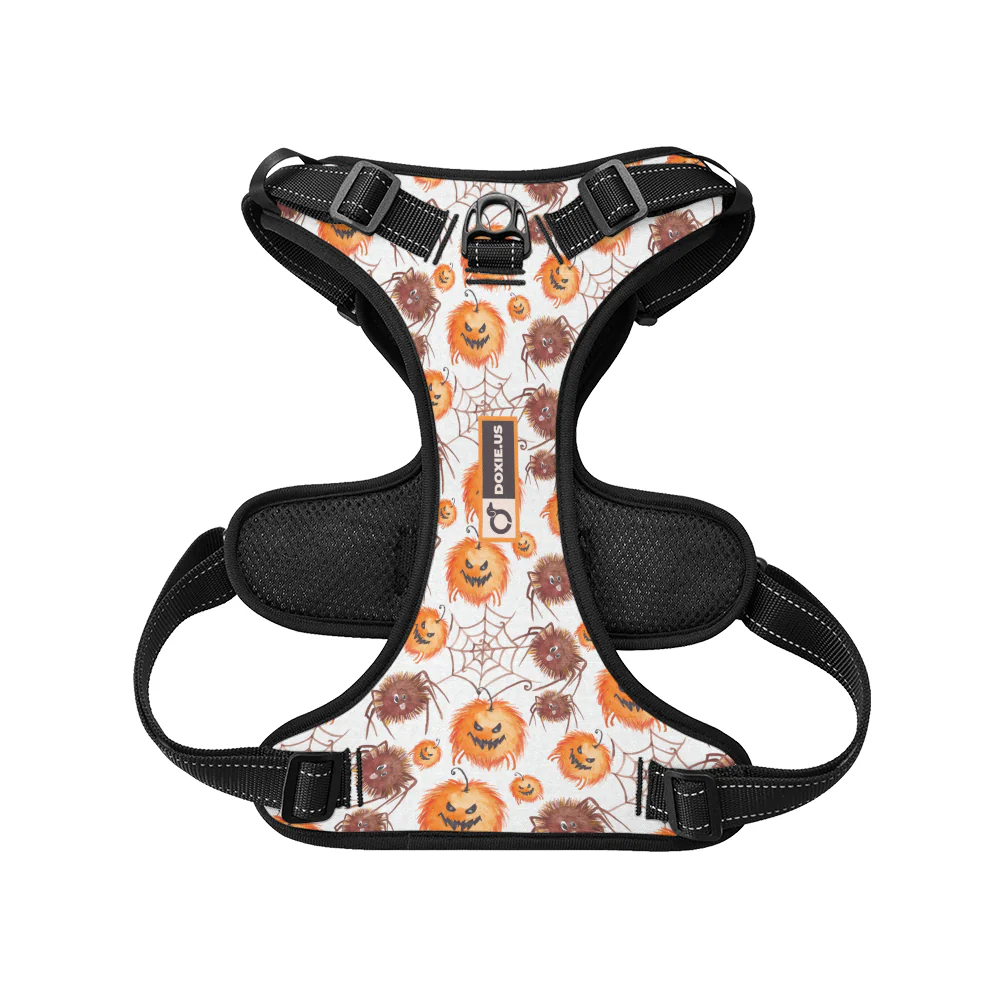 Chloe -  No-Pull Dachshund Dog Harness - Image 5