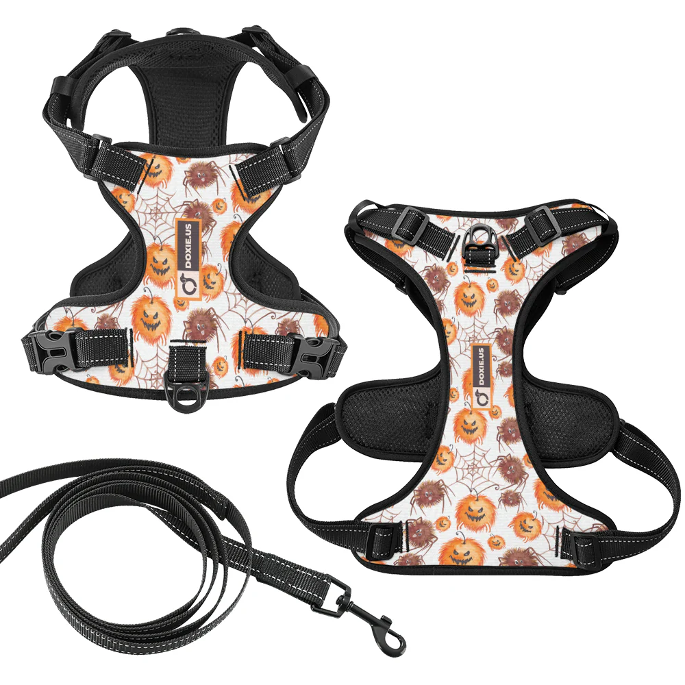 Chloe -  No-Pull Dachshund Dog Harness - Image 6